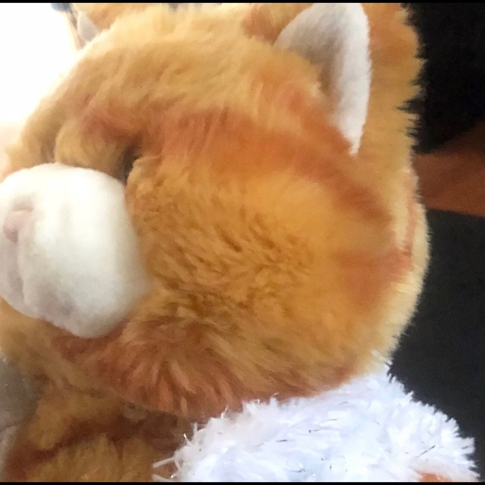 Build-A-Bear - Picture 2 of 10